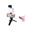 Telefon Tutucu Led Işıklı Kumandalı Mikrofon Telefon Vlog Video Kayıt - Lisinya