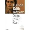 Dağa Çıkan Kurt/halide Edib Adıvar