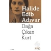 Dağa Çıkan Kurt/halide Edib Adıvar