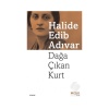 Dağa Çıkan Kurt/halide Edib Adıvar