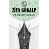 Çınaraltı Yazıları