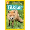 Tilkiler - Seviye 2