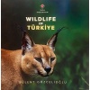 Wıldlıfe Of Türkiye