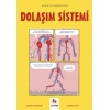 Dolaşım Sistemi - Gençler İçin Çizgilerle Bilim
