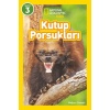 Kutup Porsukları - National Geographic Kids