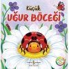 Küçük Uğur Böceği