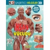 3D Şaşırtıcı Bilgiler - İnsan Vücudu