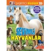 3D Şaşırtıcı Bilgiler - Sevimli Hayvanlar