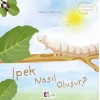 Oluşum Hikayeleri - İpek nasıl oluşur?