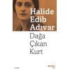 Dağa Çıkan Kurt