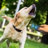 Ultrasonik Zarar Vermeyen Köpek Uzaklaştırıcı ve Eğitici Cihaz - Lisinya