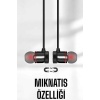 Mikrofonlu Kablosuz Sport Kulak İçi Mıknatıslı Kulaklık - Lisinya