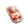 PG-9010 MOUSE FARE - Lisinya