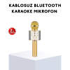 Karaoke Mikrofonu Bluetooth USB AUX Girişli Yankı Efektli - Lisinya
