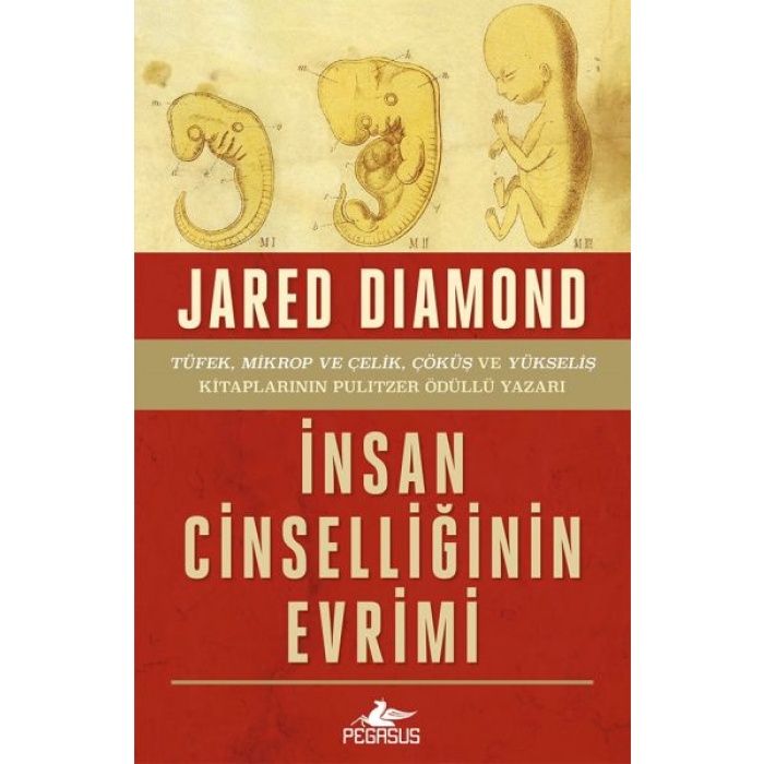 İnsan Cinselliğinin Evrimi - Ciltsiz