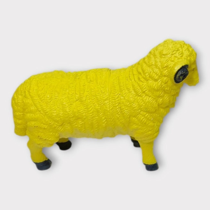 Çiftlik Hayvanları - Koyun (Lisinya)