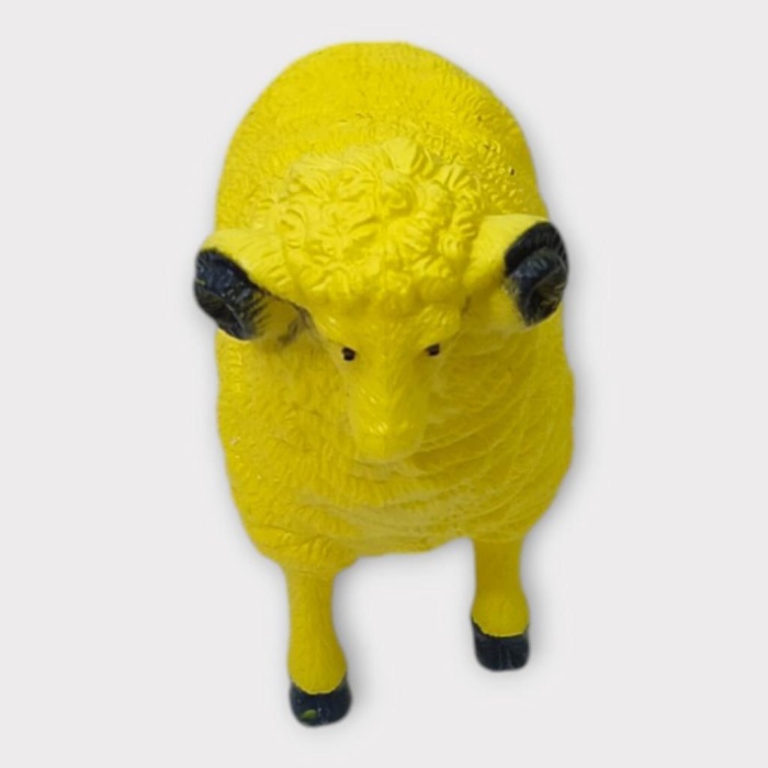 Çiftlik Hayvanları - Koyun (Lisinya)