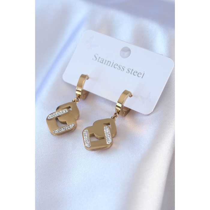 316L Çelik Gold Renk Zirkon Taşlı Kadın Küpe - Lisinya