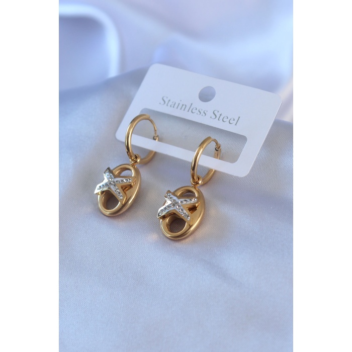 316L Çelik Gold Renk Zirkon Taş Detay Kadın Küpe - Lisinya