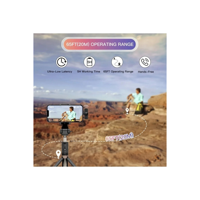 Type-C Çiftli Kablosuz Yaka Mikrofon Seti Telefon Vlog Canlı Yayın TikTok YouTube Uyumlu ( Lisinya )