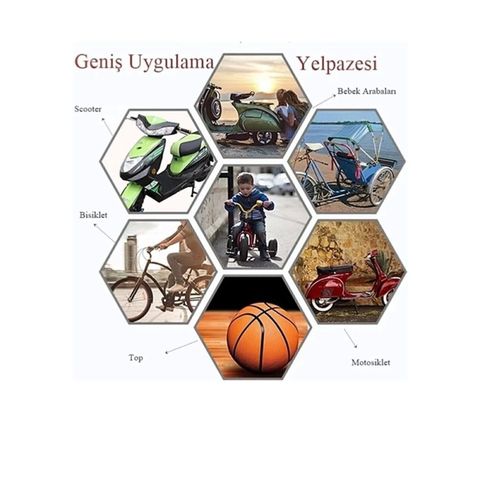 220 Volt-12 Volt 250 Psi Geniş Uygulama Yelpazesi Kompresör Lastik Hava Şişirme Oto Pompası ( Lisinya )