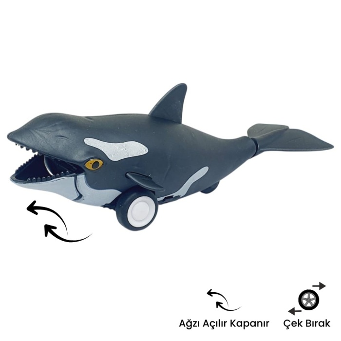 Sürtmeli Hayvanlar Serisi - H-53 - Orka Balina (Lisinya)