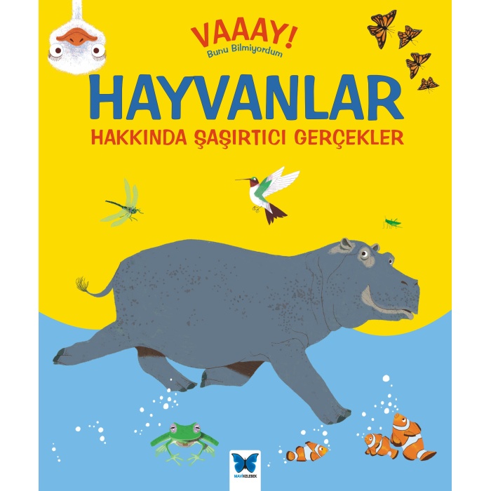 Vaaay! Bunu Bilmiyordum - Hayvanlar Hakkında Şaşırtıcı Gerçekler