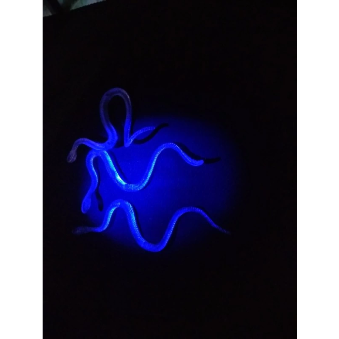 Şaka Yılan Ve Kırkayak Karışık 36 Adet - Lisinya