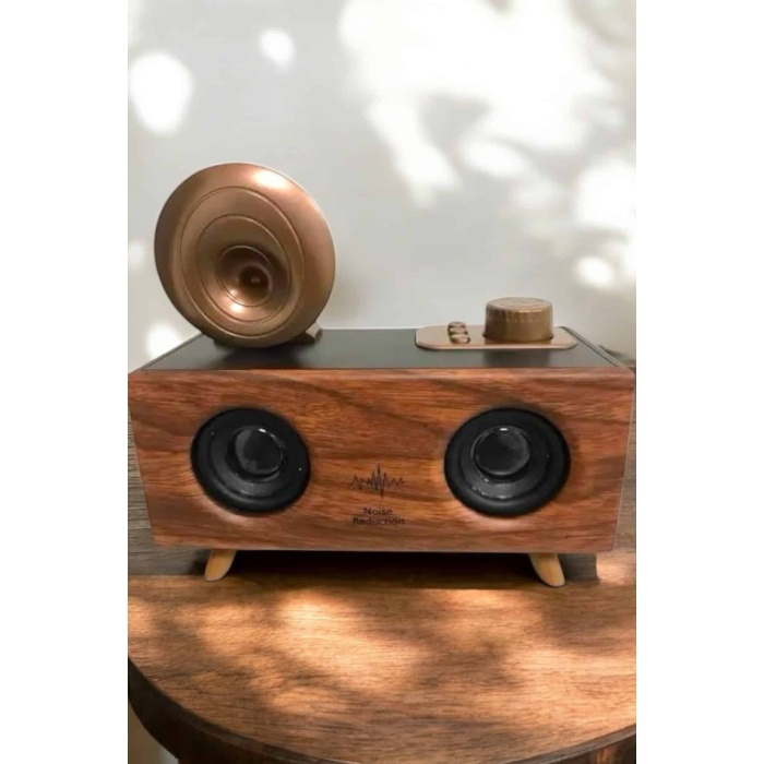 Çalar Radyo Müzik Kutusu Nostaljik Hoparlör Speaker - Lisinya