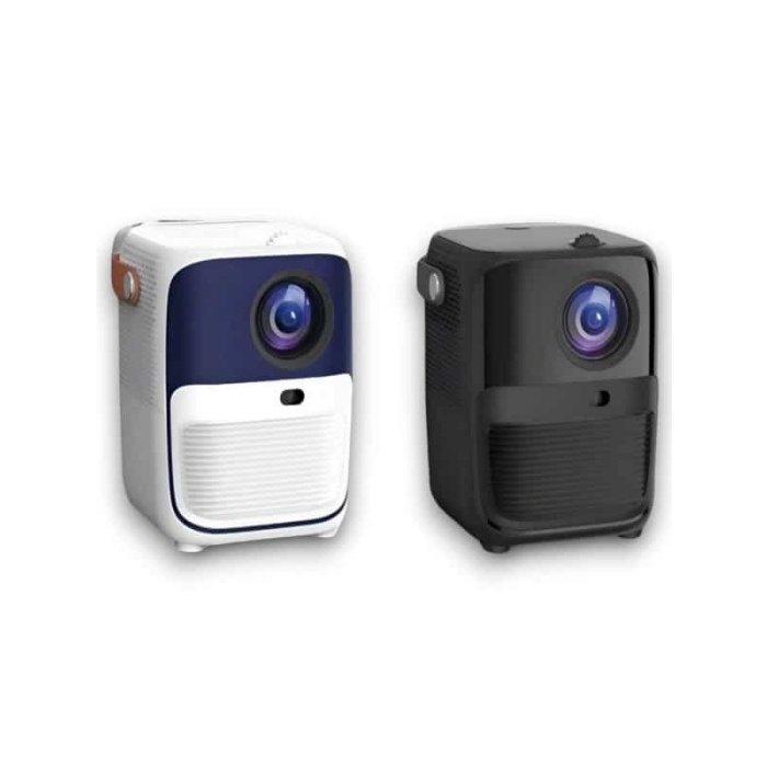 PROJEKSİYON - Lisinya