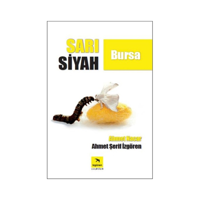 Sarı Siyah Bursa