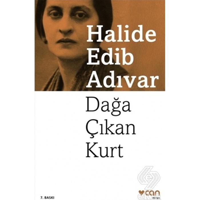 Dağa Çıkan Kurt/halide Edib Adıvar