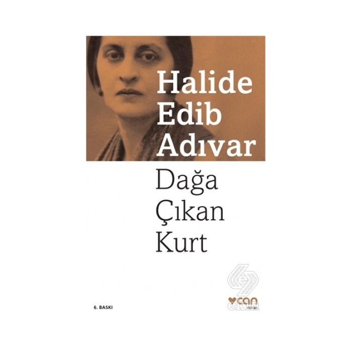 Dağa Çıkan Kurt/halide Edib Adıvar
