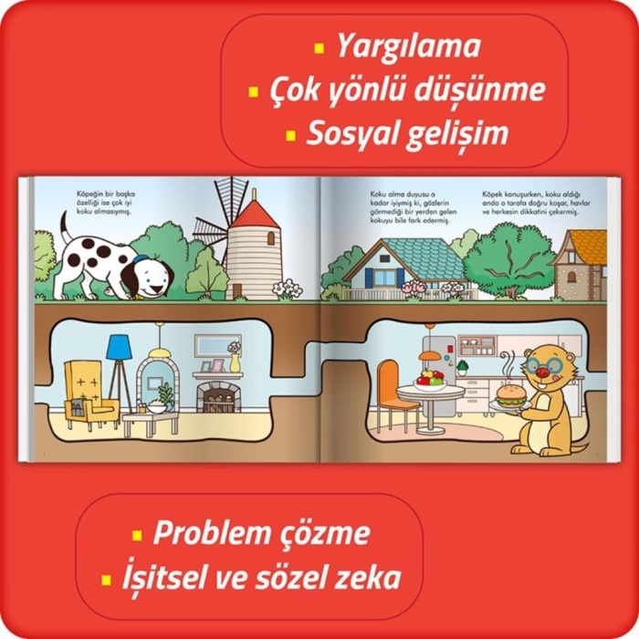 Köprüdeki Köpek  (3-7 Yaş)