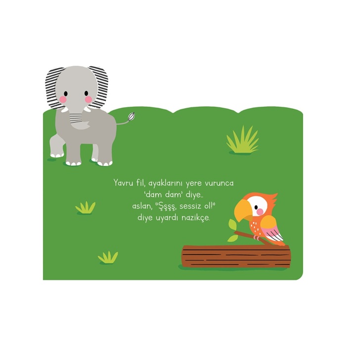 Uykusu Kaçan Minikler Safari Arkadaşları