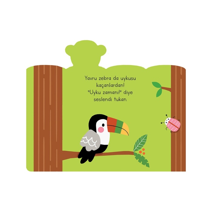 Uykusu Kaçan Minikler Safari Arkadaşları