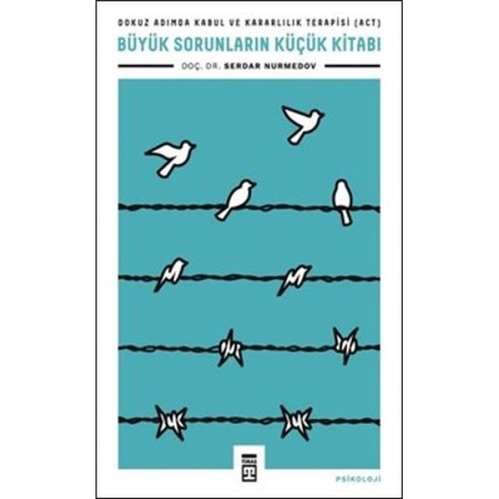 Büyük Sorunların Küçük Kitabı