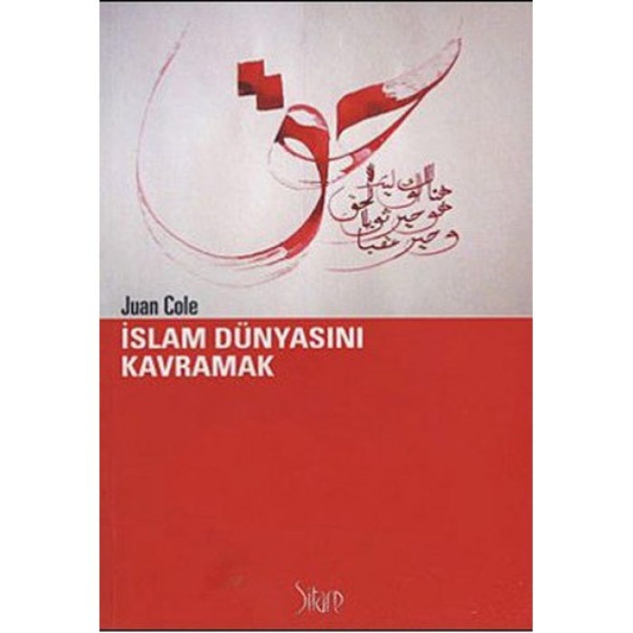 İslam Dünyasını Kavramak