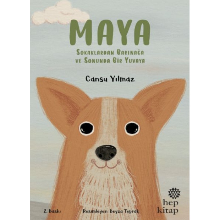 Maya - Sokaklardan Barınağa ve Sonunda Bir Yuvaya
