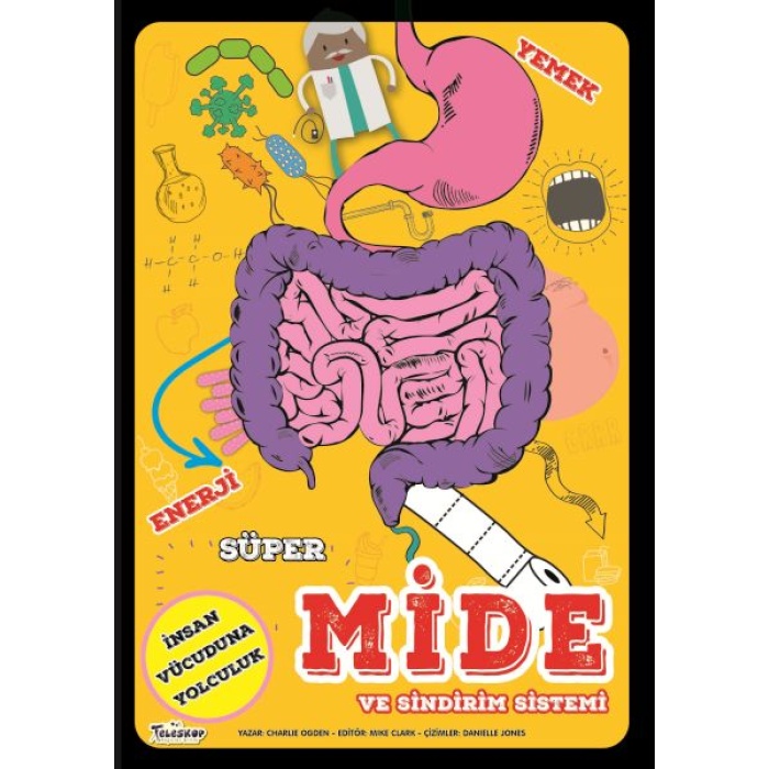 Süper Mide Ve Sindirim Sistemi