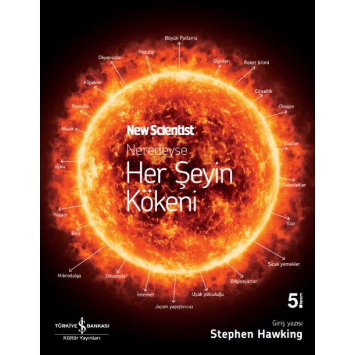 Neredeyse Her Şeyin Kökeni