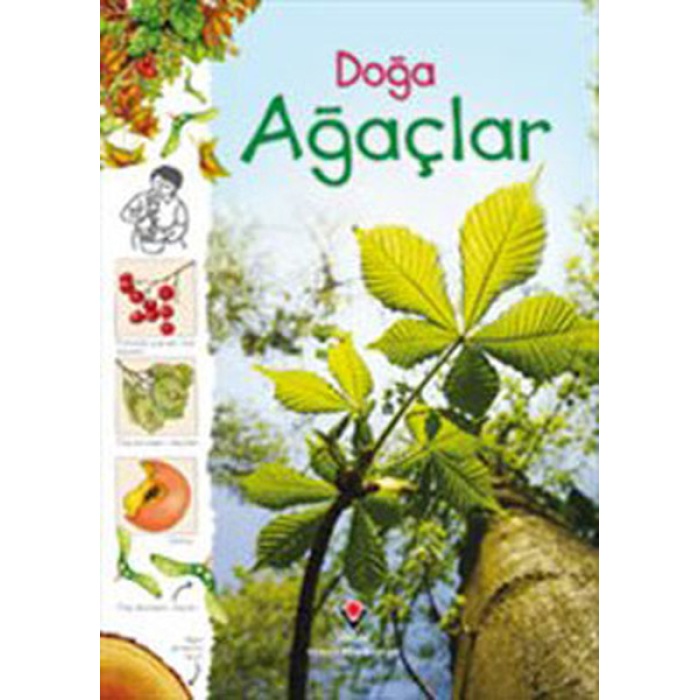 Doğa - Ağaçlar