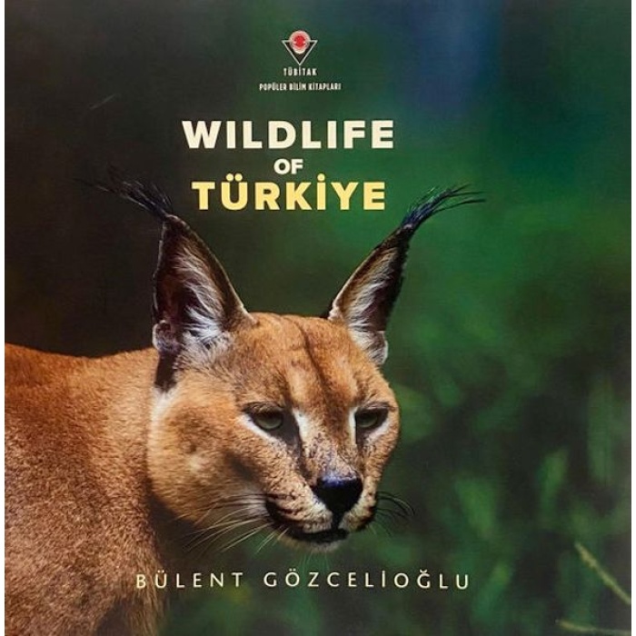 Wıldlıfe Of Türkiye