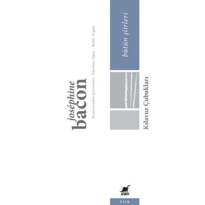 Kılavuz Çubukları