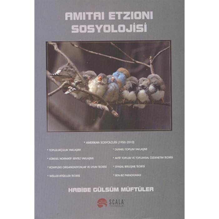 Amitai Etzioni Sosyolojisi