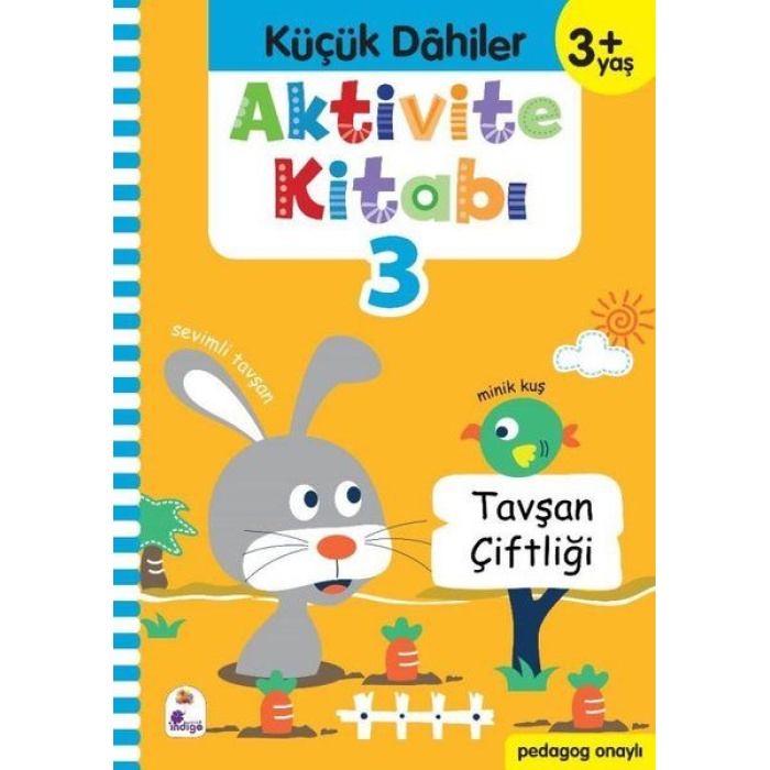 Küçük Dahiler Aktivite Kitabı 3 (3+ Yaş)