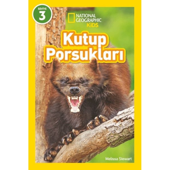 Kutup Porsukları - National Geographic Kids