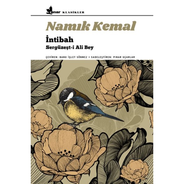 İntibah - Sergüzeşt-i Ali Bey