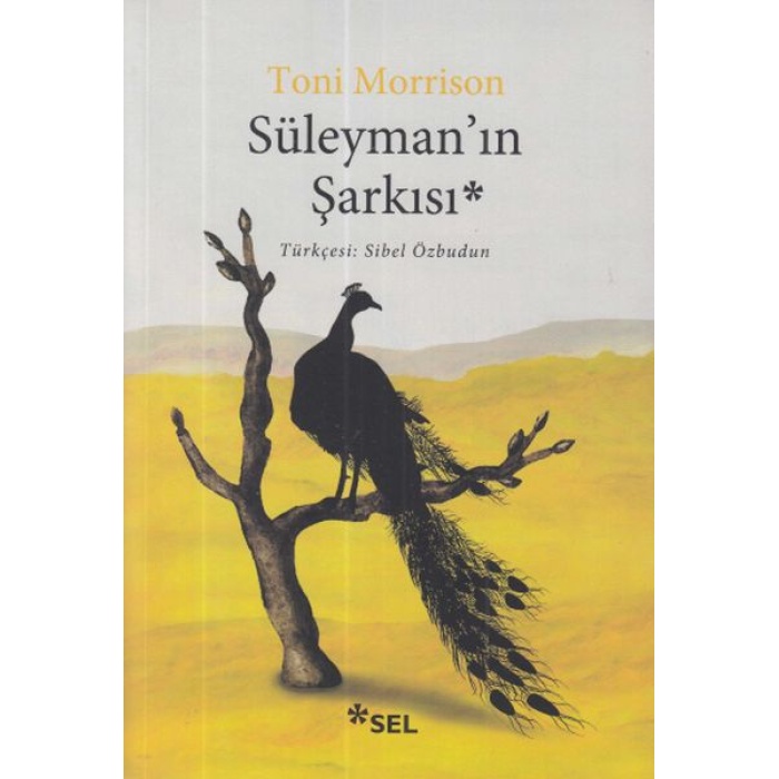 Süleyman’ın Şarkısı