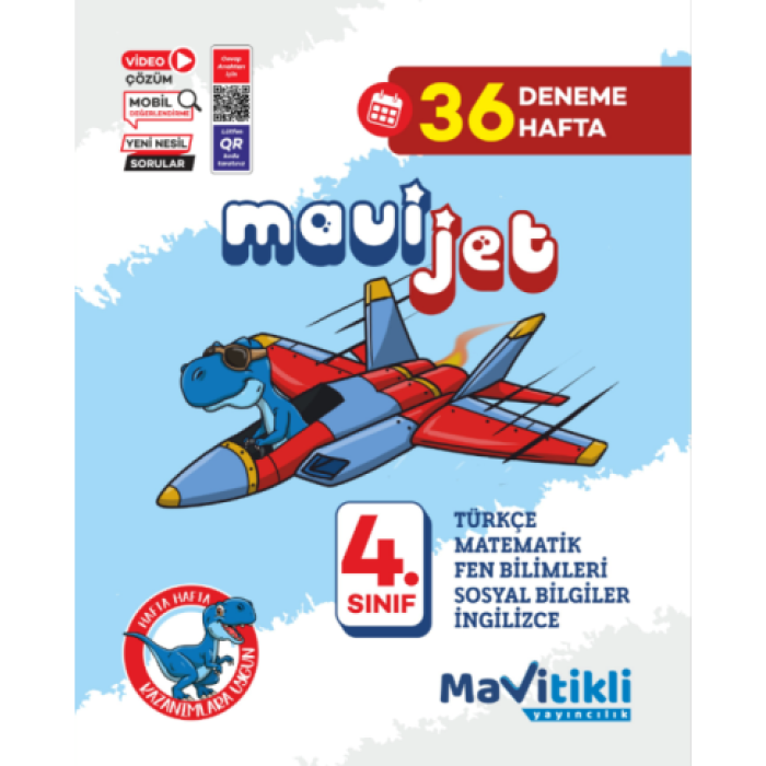 4.SINIF MAVİJET